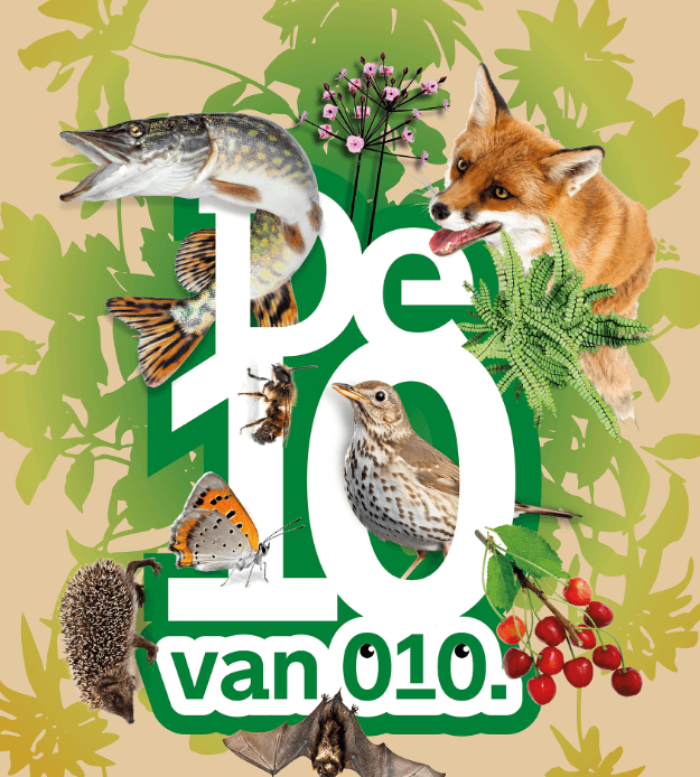 Biodiversiteit in Rotterdam op het netvlies